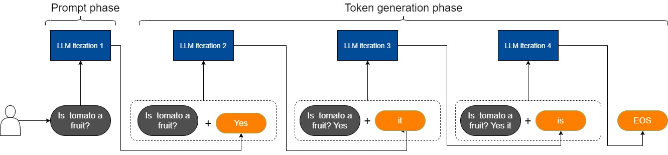 A20 request lifecycle showing one prompt-phase model invocation followed by repeated token-generation invocations until EOS