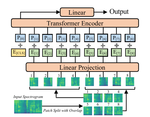 The Audio Spectrogram Transformer converts an input spectrogram into overlapping two-dimensional patches, projects them, adds position embeddings, and forms a Transformer input sequence