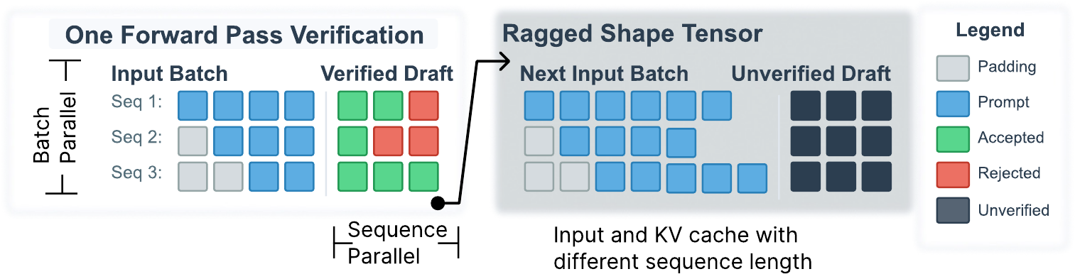 Ragged accepted prefixes create different logical lengths inside one batch