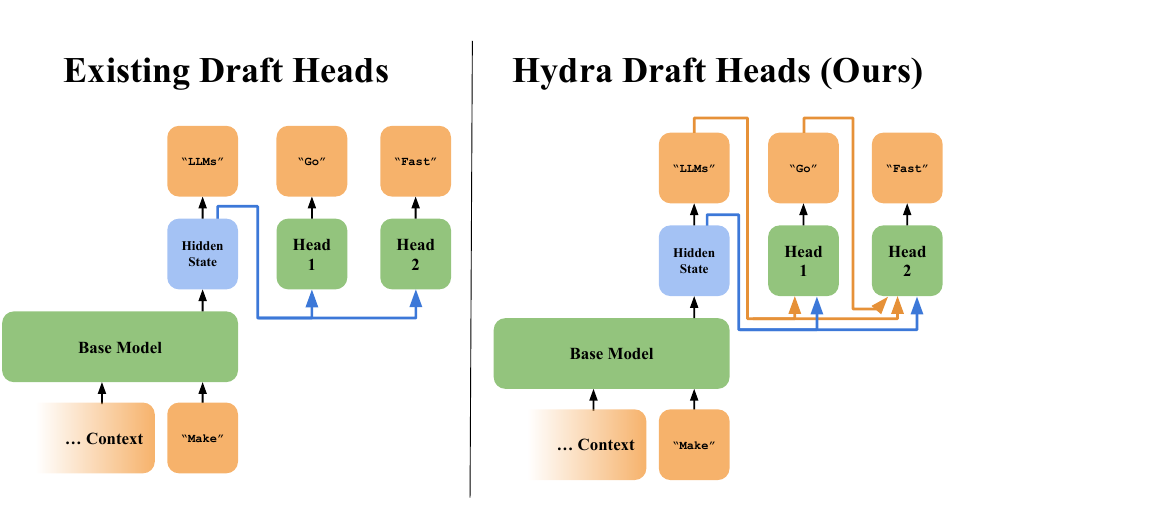 Independent future-token heads compared with sequentially dependent Hydra heads