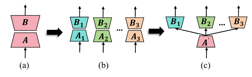 LoRA, symmetric multi-LoRA, and HydraLoRA shared-A factorization