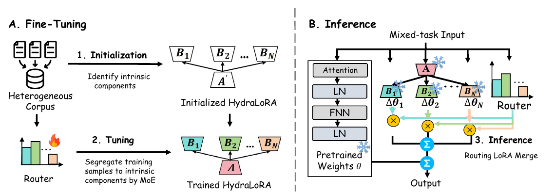 HydraLoRA fine-tuning and routed inference workflow