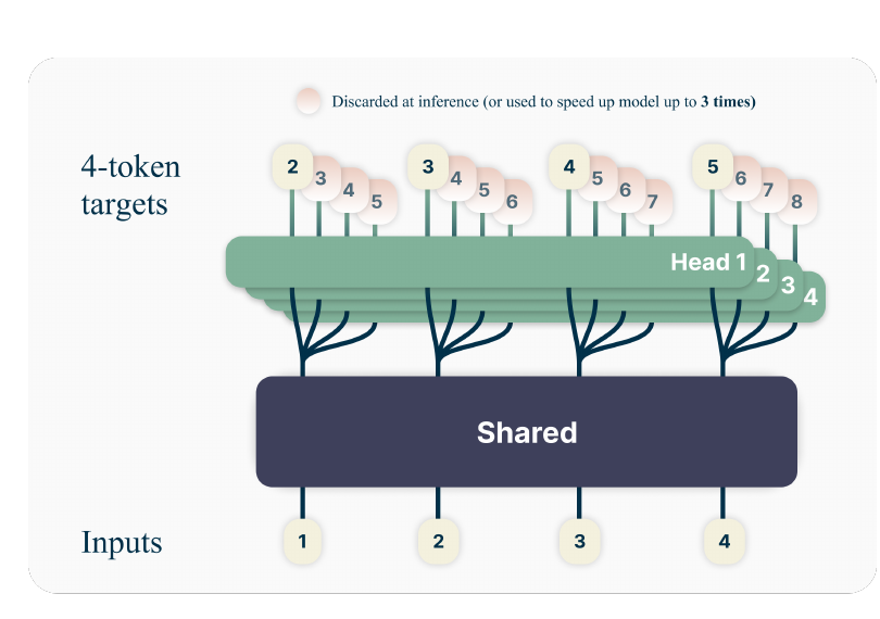 Shared-trunk multi-token prediction with horizon-specific heads