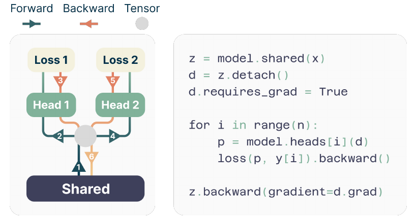 Sequential forward and backward schedule for multiple prediction heads