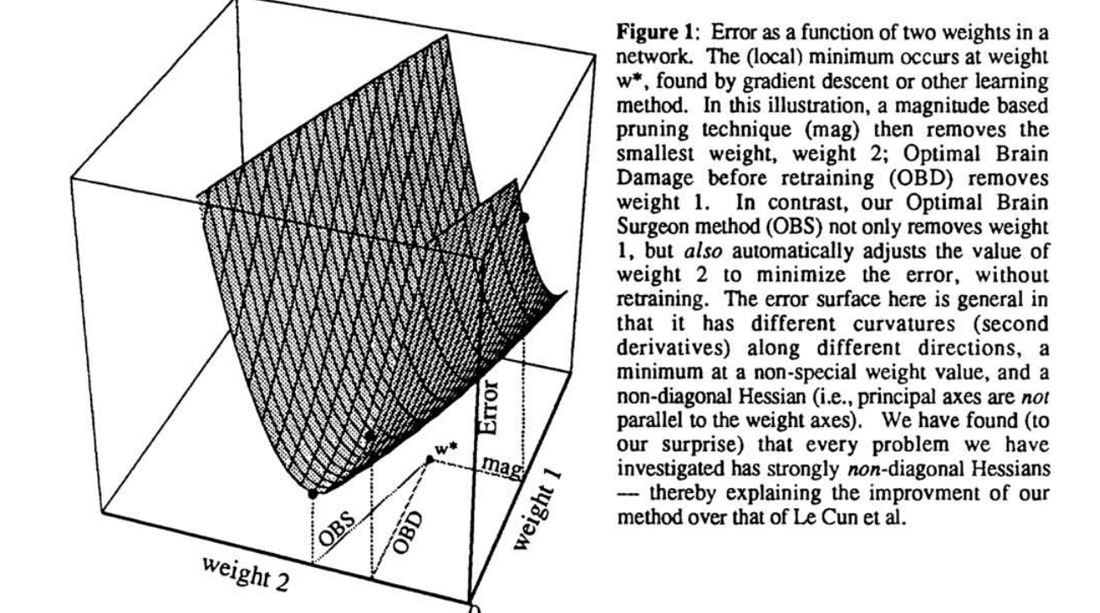 Optimal Brain Surgeon Figure 1 showing magnitude deletion, diagonal OBD deletion, and an OBS path that compensates the surviving weight along a non-diagonal error surface