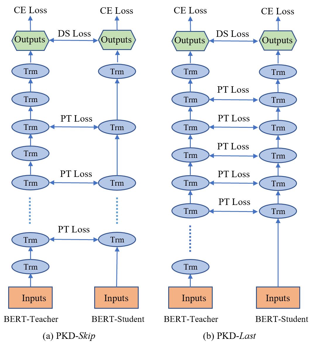 PKD Figure 1 showing PKD-Skip and PKD-Last teacher-to-student patient-layer mappings