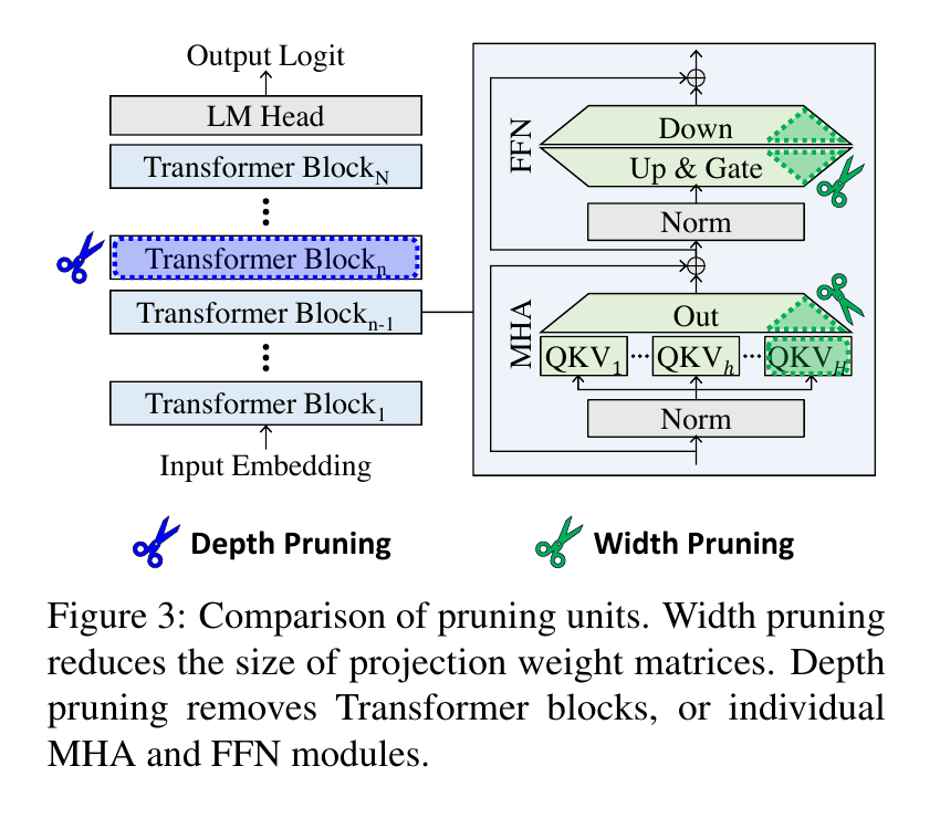 Shortened LLaMA Figure 3 contrasting complete Transformer-block deletion with narrower attention and FFN projections
