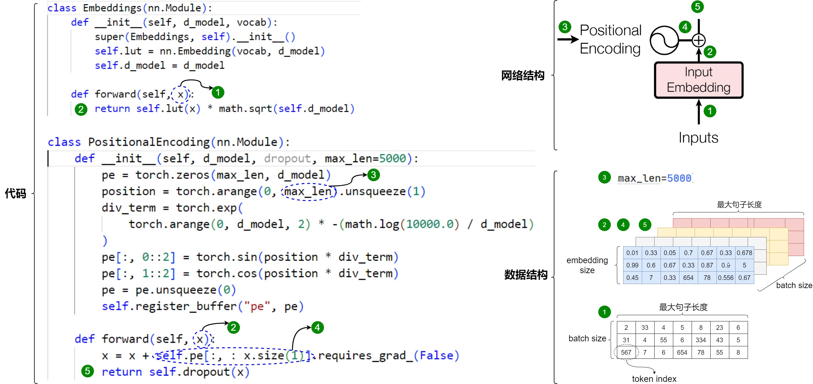 Embedding module and positional encoding code path for turning token IDs into model-width vectors