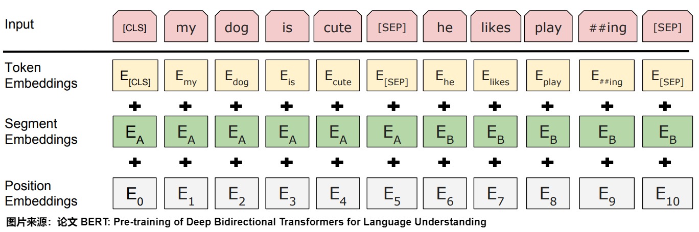 BERT input construction from token, segment, and learned position embeddings