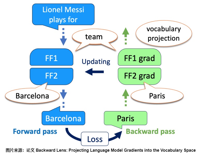 A13's source figure separates forward activations from backward gradient flow through an MLP; the semantic imprint-and-shift reading is a paper interpretation layered on the exact outer-product gradient