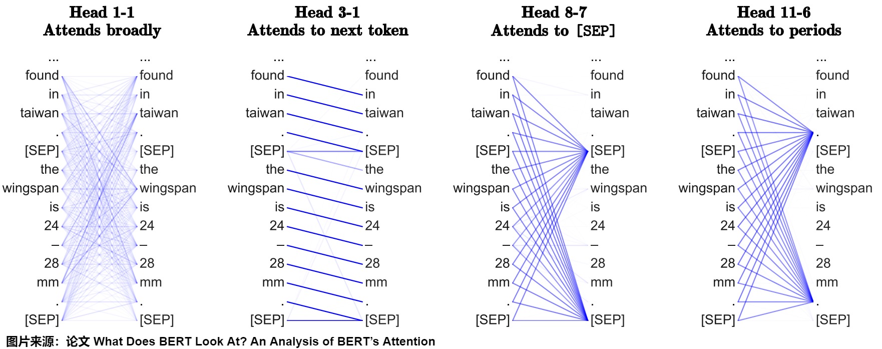 A12 source-reported BERT head patterns including broad, next-token, separator-token, and punctuation attention