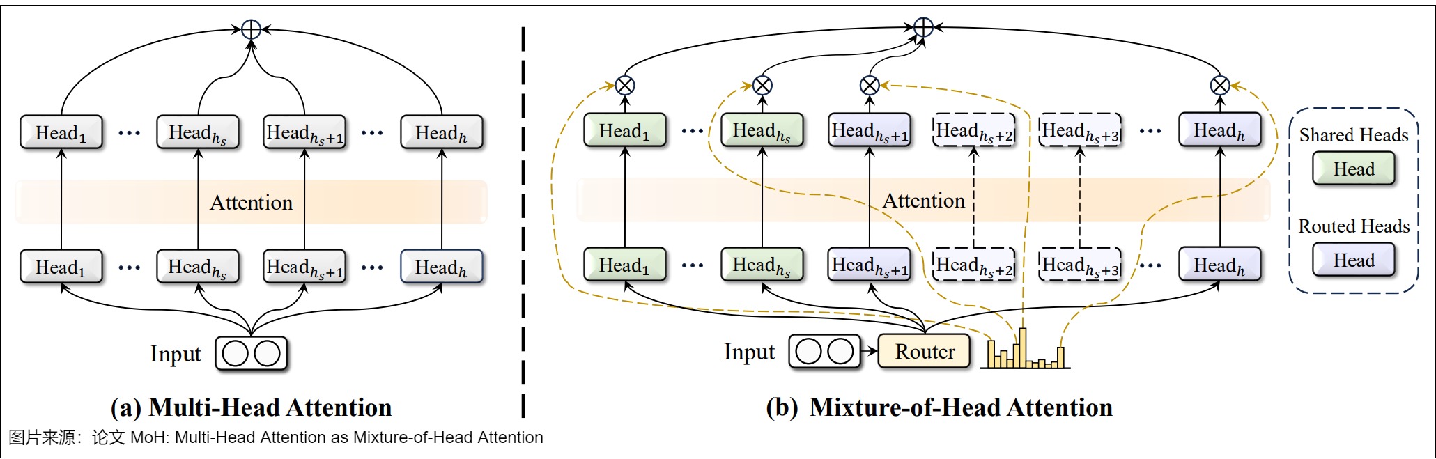 Standard MHA compared with shared and routed heads in Mixture-of-Head attention