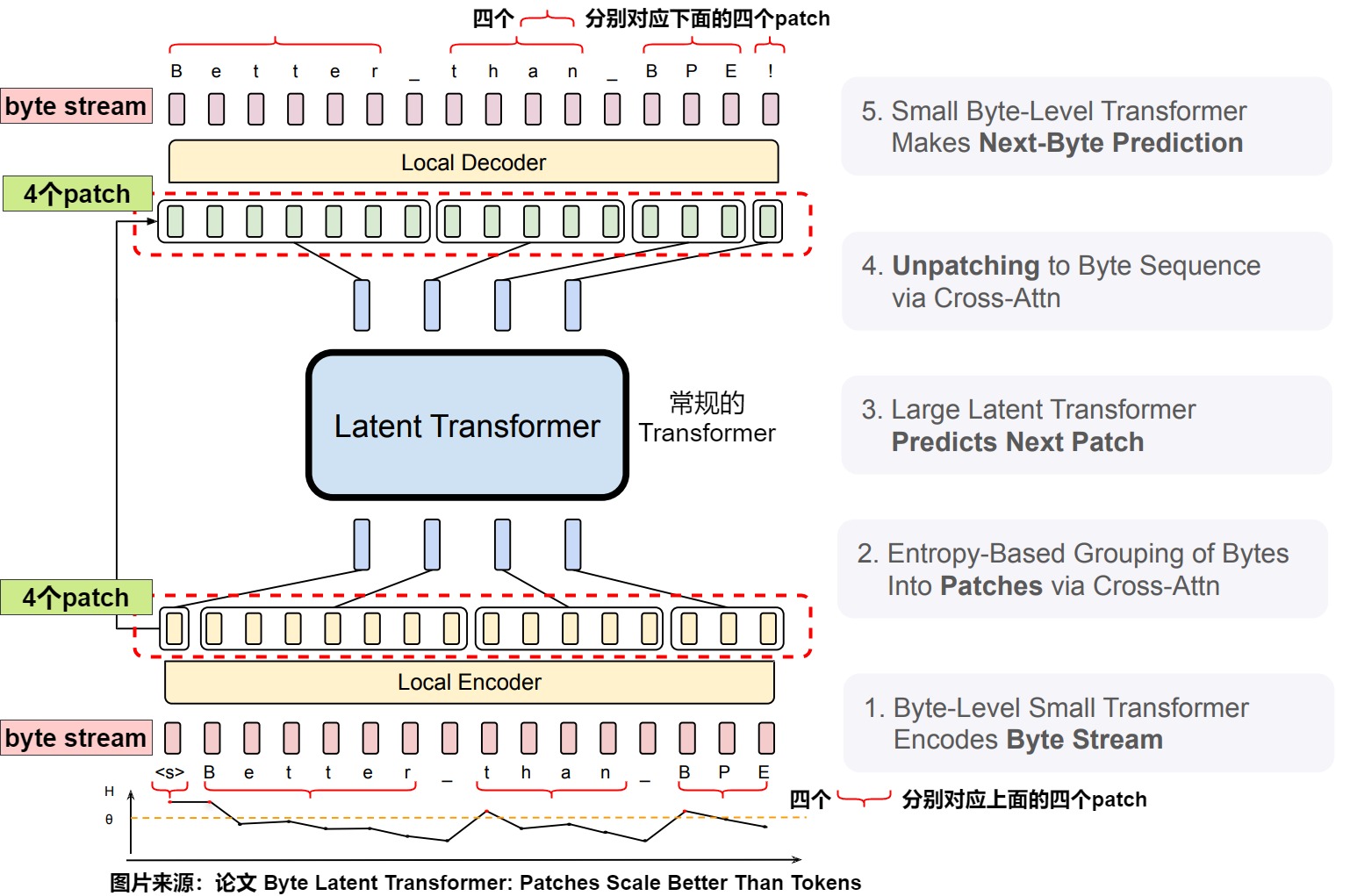 Source-reported BLT local encoder, latent global Transformer, and local decoder