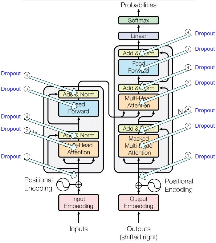 Dropout sites around embeddings, attention, feed-forward, and residual branches